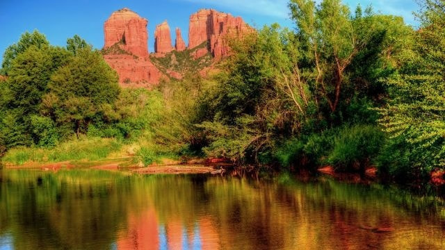 アデプトプログラム