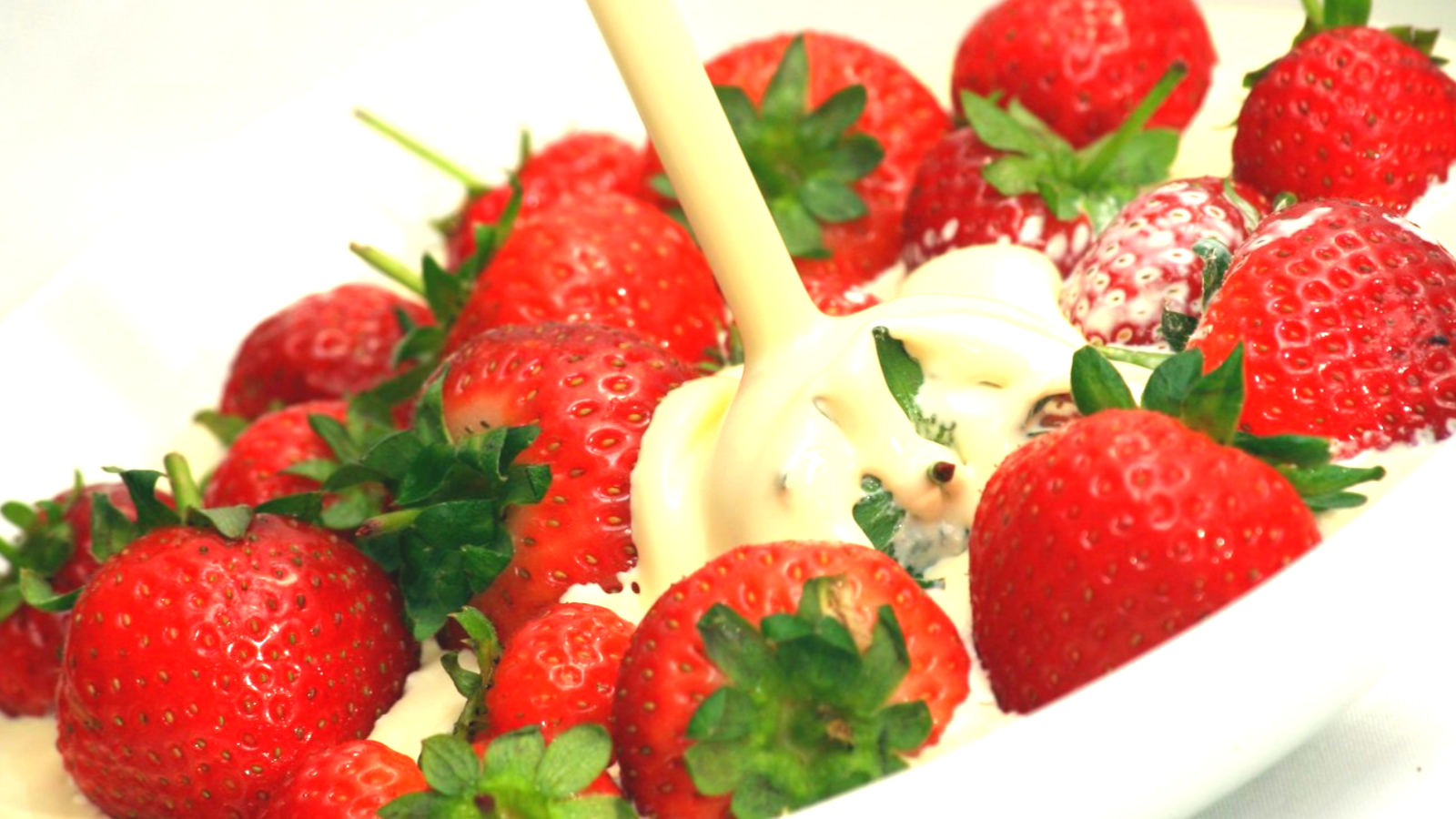 アデプトプログラム